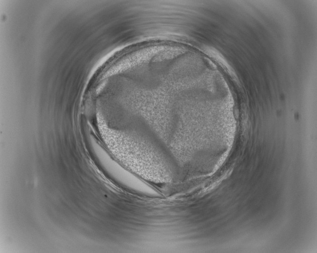 X0000085810924200704131942