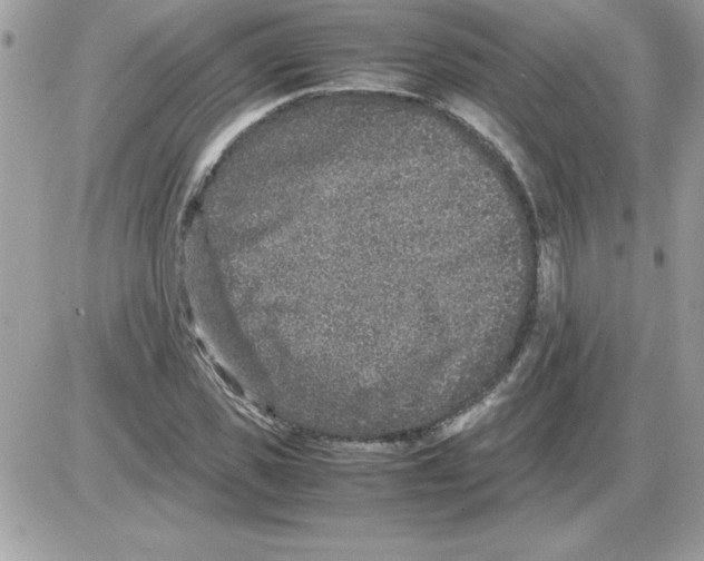 X0000085810925200704131942