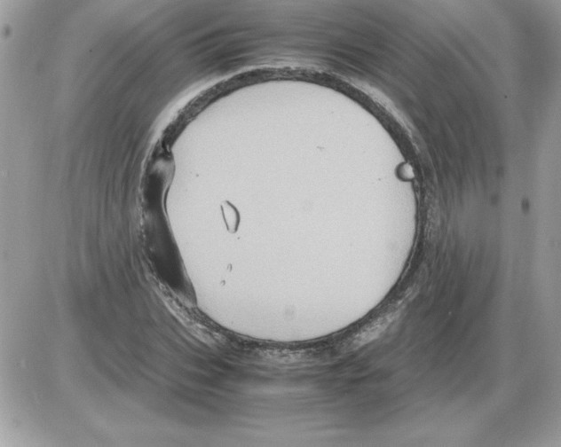 X0000085810927200704131943