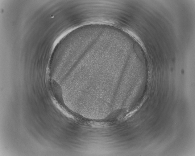 X0000085810928200704131943