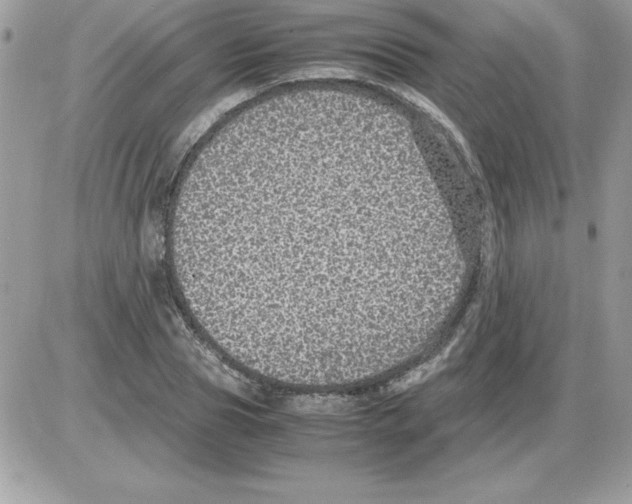 X0000085810929200704131943