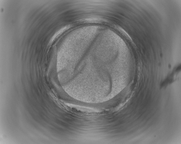 X0000085810930200704131943