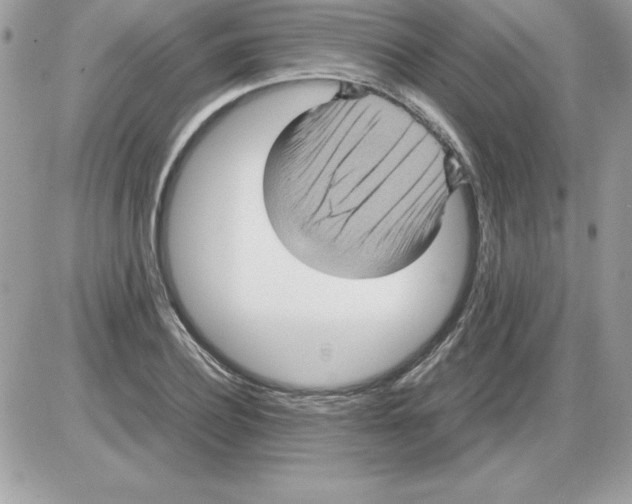 X0000085810932200704131943