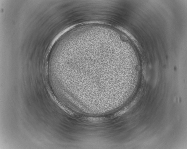 X0000085810933200704131943