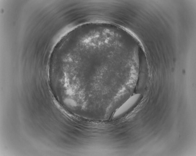 X0000085810935200704131943