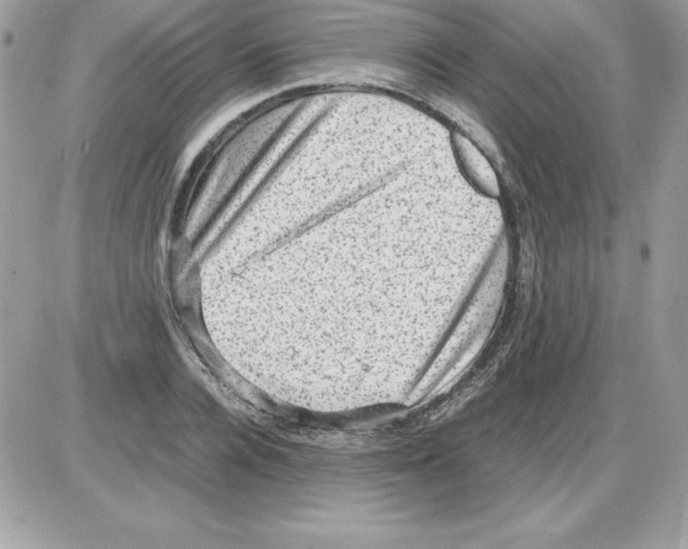 X0000085810936200704131943