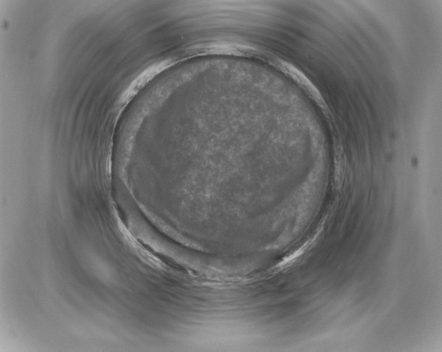 X0000085810938200704131943