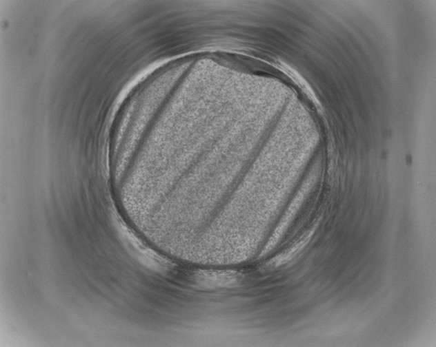 X0000085810939200704131943