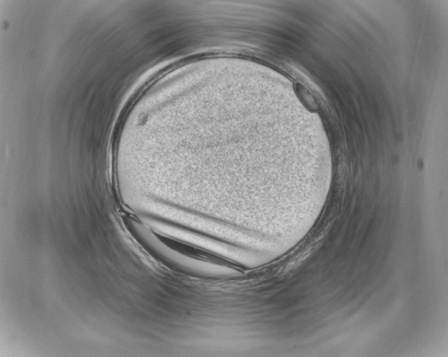 X0000085810940200704131943