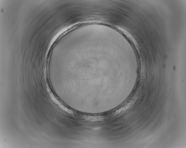 X0000085810941200704131943