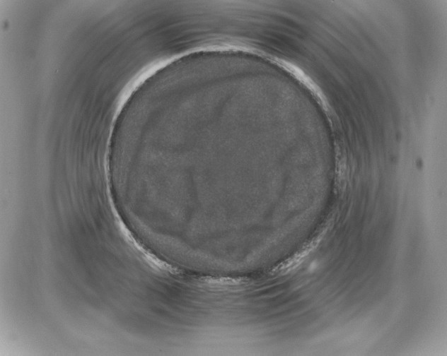 X0000085810943200704131943