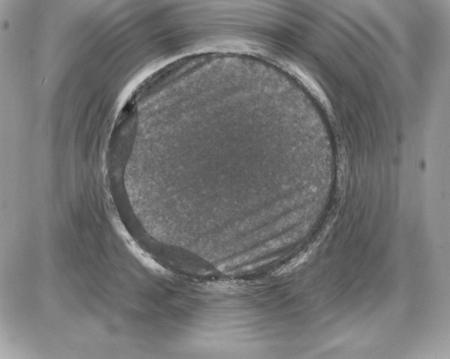 X0000085810944200704131943