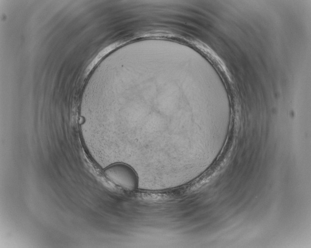 X0000085810945200704131943