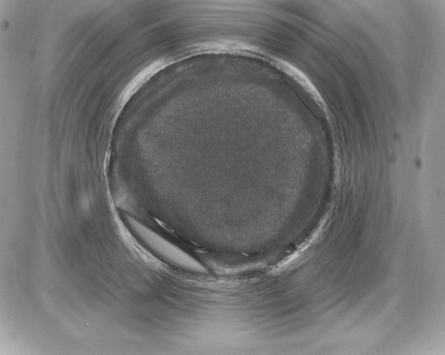 X0000085810946200704131943