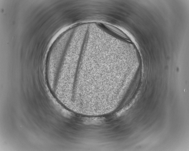 X0000085810949200704131943