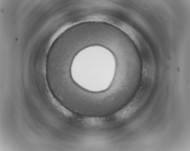 X0000085810950200704131943