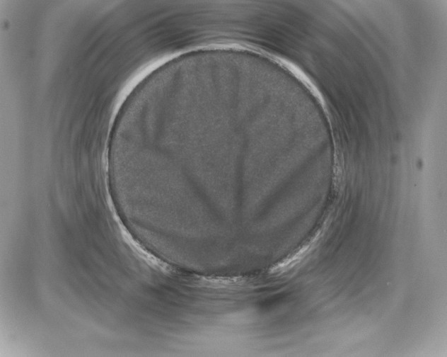 X0000085810951200704131943