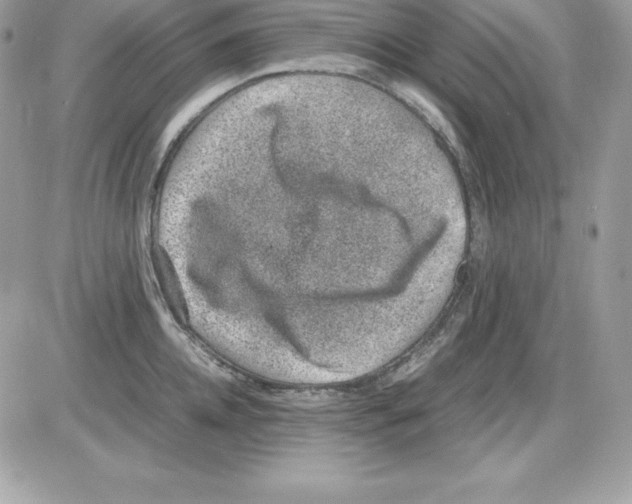 X0000085810952200704131943