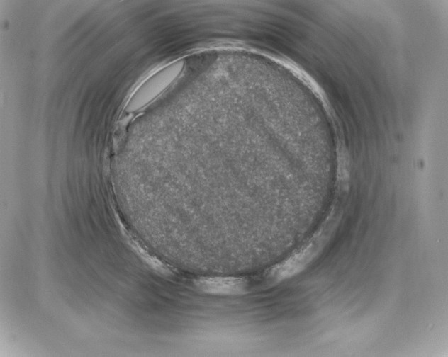 X0000085810953200704131943