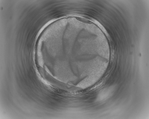 X0000085810955200704131943