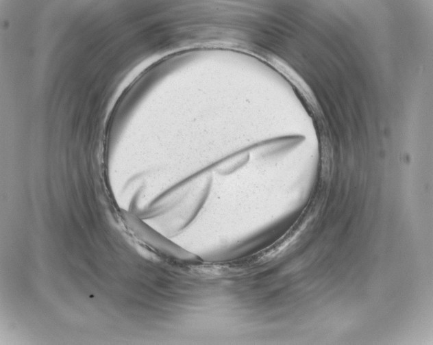 X0000085810956200704131943