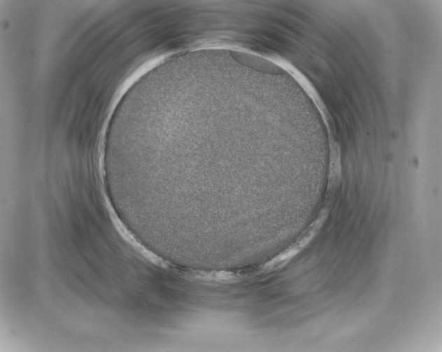 X0000085810957200704131943