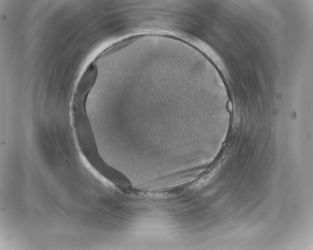 X0000085810958200704131943