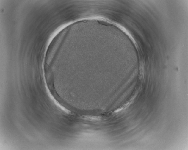 X0000085810959200704131943