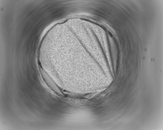 X0000085810960200704131943