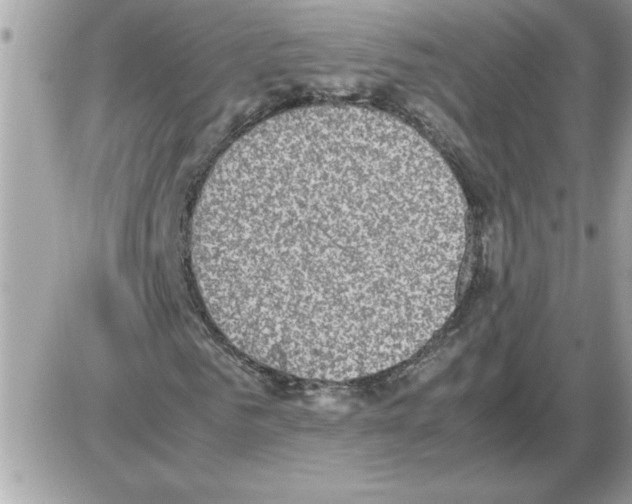 X0000085810961200704131942