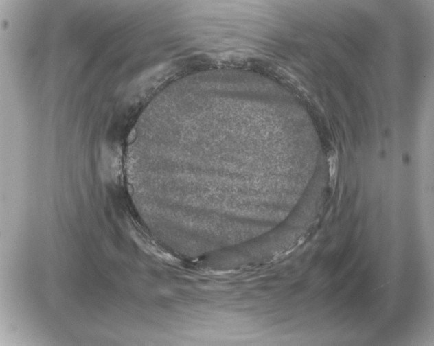 X0000085810963200704131942