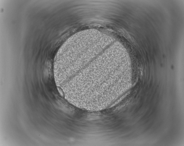 X0000085810964200704131942