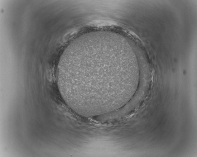 X0000085810965200704131942