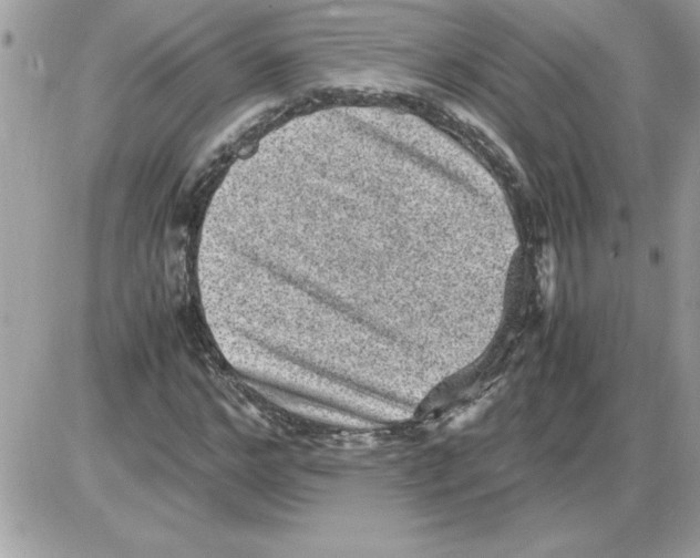 X0000085810968200704131942