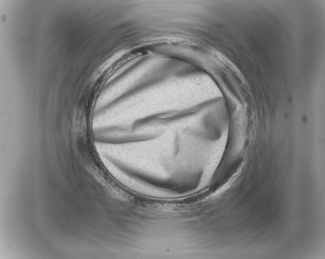 X0000085810969200704131942