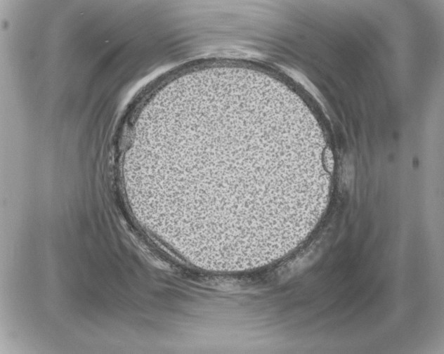 X0000085810971200704131942