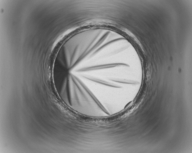 X0000085810973200704131942