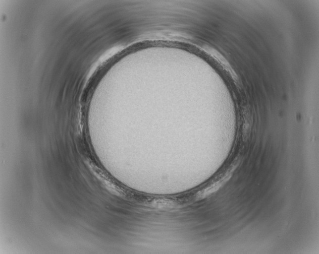 X0000085810974200704131942