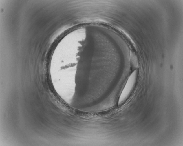 X0000085810975200704131942