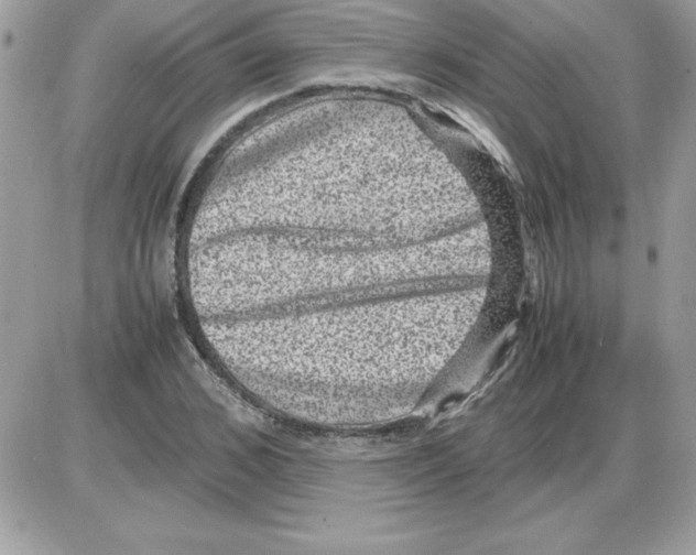 X0000085810976200704131942