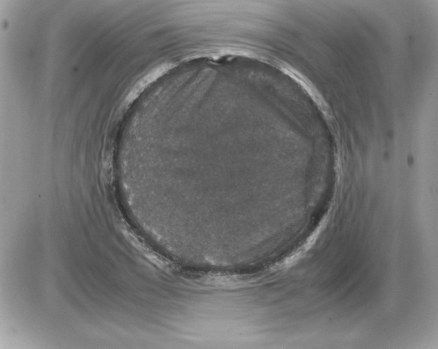 X0000085810977200704131942