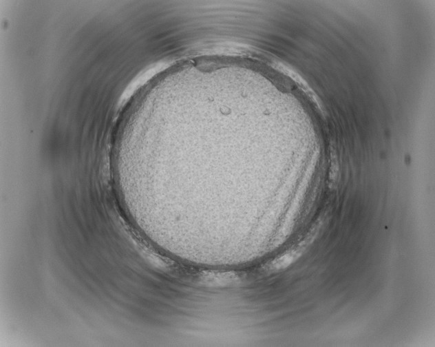 X0000085810978200704131942