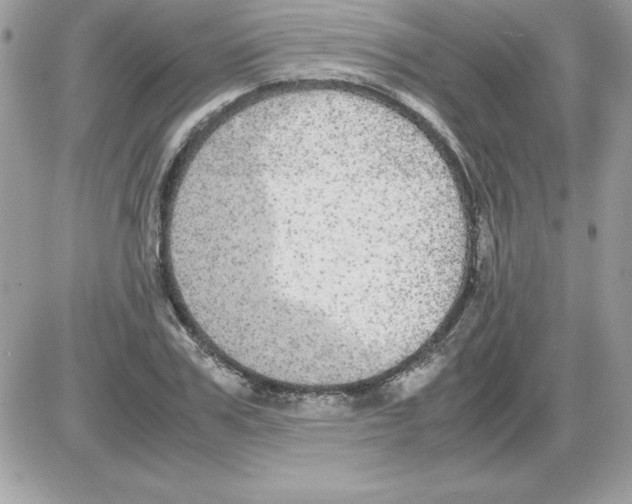 X0000085810979200704131942