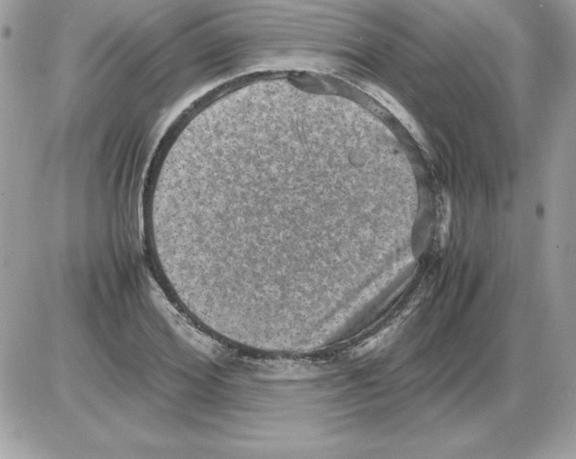 X0000085810980200704131942