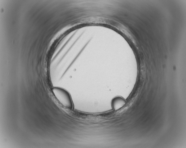 X0000085810981200704131942