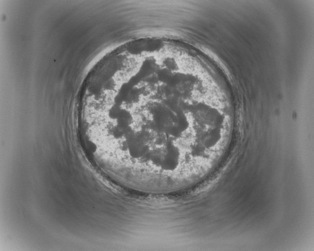 X0000085810983200704131942