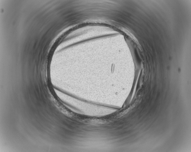 X0000085810984200704131942