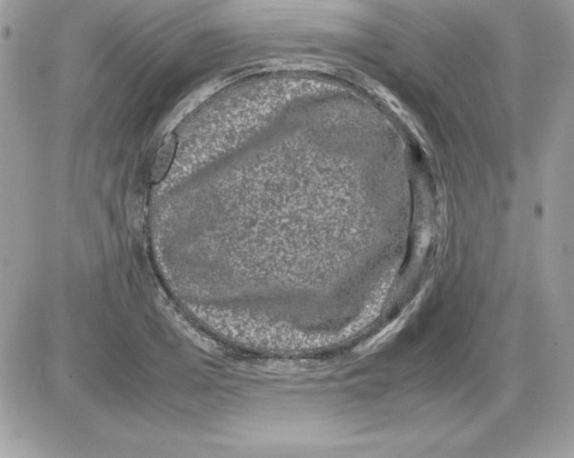 X0000085810985200704131942