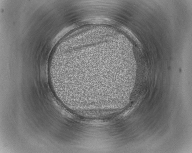 X0000085810986200704131942