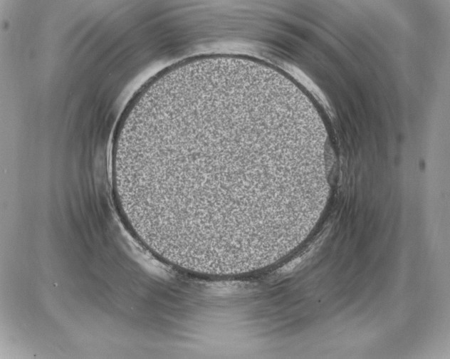 X0000085810988200704131942